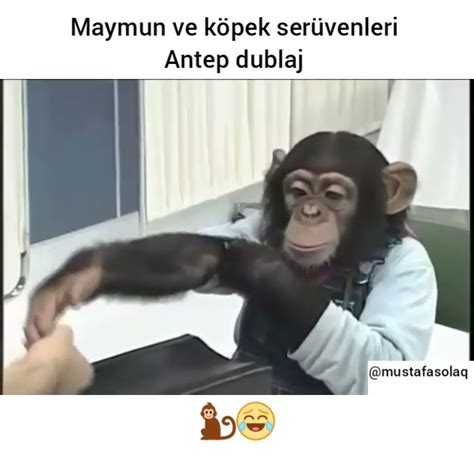 Maymun Hikmet Vs Doktorlar ( Antep Dublaj ) YouTube.